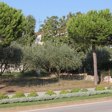 Apartments And Rooms With Parking Space Rovinj - 7170 Екстериор снимка