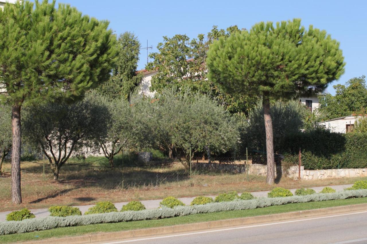 Apartments And Rooms With Parking Space Rovinj - 7170 Екстериор снимка